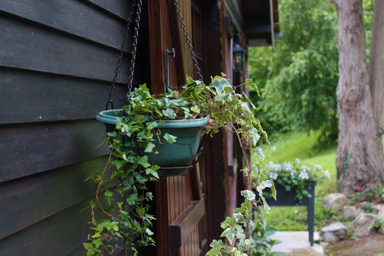 Marles-sur-Canche Chalet Des Sept Pins 빌라 외부 사진